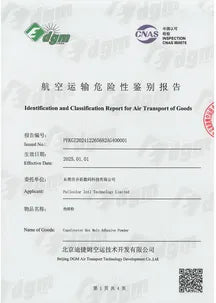Air Transportation Appraisal Report