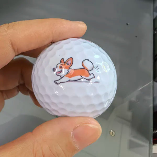golf ball printing case photos 2