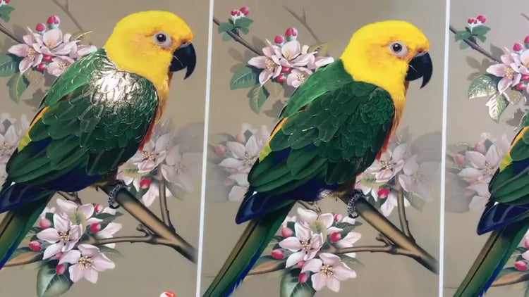 printing effect close-up video cover